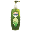 Kesh Kanti Shampoo [Aloe Vera] - 450 ML